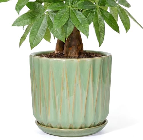 10 Inch Ceramic Planter Pot with Saucer Drainage Leak-Proof Mesh,Flower Pots for Indoor Plants with Gardening Gloves,Ceramic Planter(Light Green) by Unknown