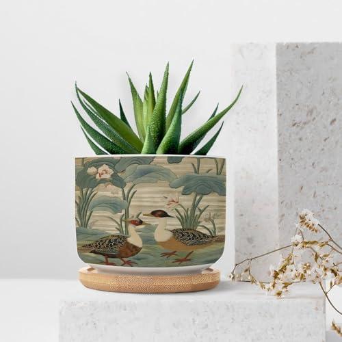 Garden Ceramic Planters Snake Plant Live Indoor with Pot with Drainage Holes and Saucers Pot for Pots Outdoor Indoor Plants - Image 7