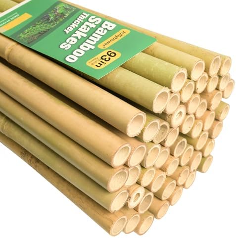 Jollybower 1" D 93IN(Approx 8 Feet) Bamboo Stakes 50 Pack, Thicker Heavy-Duty Plant Stakes, Natural Garden Stakes for Bean, Tomato, Bean, Flowers,Trees Potted and Climbing Plant Support by Jollybower