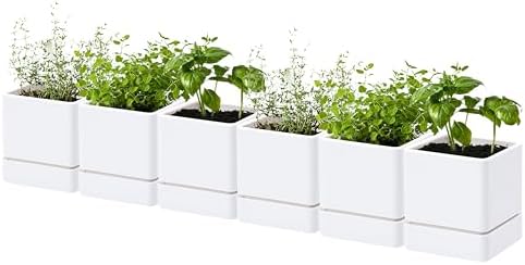D'vine Dev 6-Pack Plastic Herb Planter Pots, 4 in, White, 76-Y-A6-1 by DvineDevPlanterPotsandStand