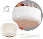 White Ceramic Succulent Pot with Tray and Bamboo Holder for Small Plants - Image 4