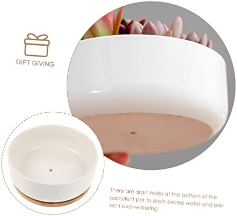 White Ceramic Succulent Pot with Tray and Bamboo Holder for Small Plants - Image 4