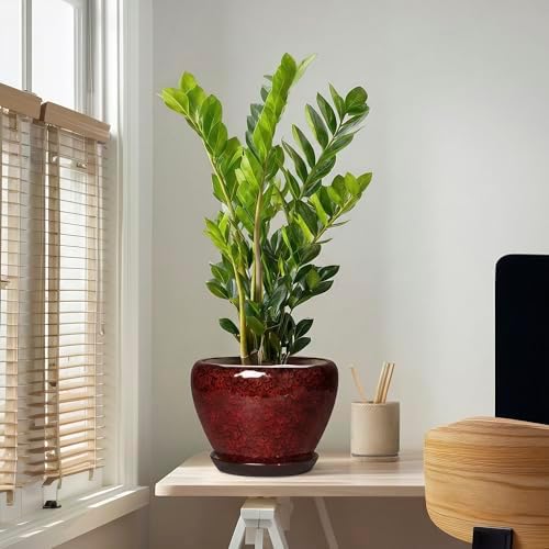 Ceramic Plant Pots - 10 Inch Planters for Plants Indoor Outdoor, Round Plant Pots with Drainage Hole and Saucer, Decorative Indoor Planter, Office Decor, Gifts for Plant Lovers, Red Leopard - Image 5