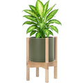 D'vine Dev Plastic Pot with Natural Wood Stand, Olive, 8 in, 55-C-J-3 by DvineDevPlanterPotsandStand