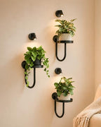 Bamworld Wall Plant Holder with Lights, Black, 3pcs by Bamworld