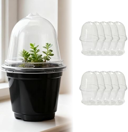 3.5/4/5” Nursery Pots with Humidity Dome, Square Seedling Pots Thickened Hardened with Tray, Plastic Seedling Containers for Indoor Outdoor Plant Germination(Light Coffee,10PCS-3.5IN) by Unknown