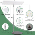 LORDEM Grow Light for Indoor Plant, Full Spectrum LED Plant Light, Height Adjustable Growing Lamp with Auto On/Off Timer 4H/8H/12H, 4 Dimmable Brightness, Ideal for Home Desk Plant Lighting, 2 Pack - Image 3
