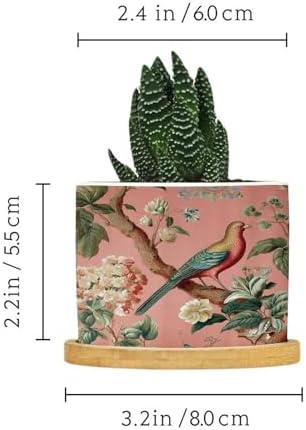 Blush Chinoiserie Bird Planter Ceramic Hydrangea Peacock in Coral Round Flower Pot with Drainage Holes and Bamboo Tray Pot for Outdoor Garden Home Plant - Image 2
