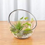 WGV Slant Cut Bowl Glass Vase Bulk, Width 9", Height 8.25", Clear Terrarium, Candy Dish, Fruit Jar, Floral Container for Wedding Party Event, Home Office Decor, 4 Pieces - Image 6