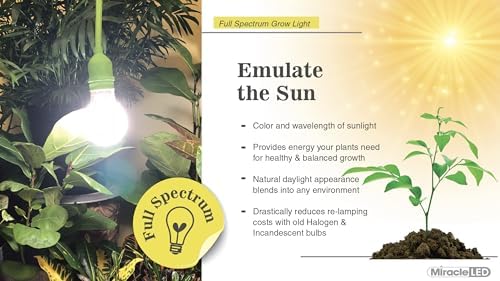 Miracle LED Elegant Coffee Starter Grow Light Kit 3-Socket Full Spectrum (2- Pack) - Image 4