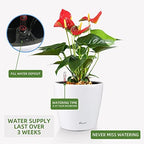 Dexceder 9x8 Self Watering Planter (White High Gloss) - Image 5