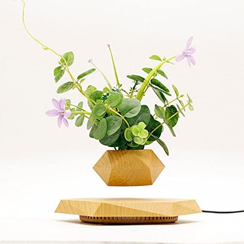 Levitating Plant Pot Hexagon Floating Air Bonsai Pot Suspension Flowerpot Planter for Office Home Decoration - Image 3
