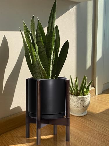D'vine Dev Ceramic Pot with Walnut Wood Stand, Black, 10 in, 55-B-X-2 - Image 6