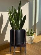 D'vine Dev Ceramic Pot with Walnut Wood Stand, Black, 10 in, 55-B-X-2 - Image 6