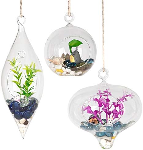 WGVI Glass Hanging Planter Air Fern Terrarium,3 Pack of Plants Hanger Vase for Succulent Moss,Tillandsias and Air Plants, Home Decorations,a Set of Globe,Teardrop,Peach by WGVInternational-OpusGlassware