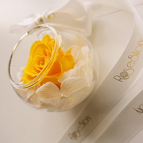 RoseStory®|Preserved Yellow Rose Terrarium|Glass Hangning Terrarium Kit - Image 3