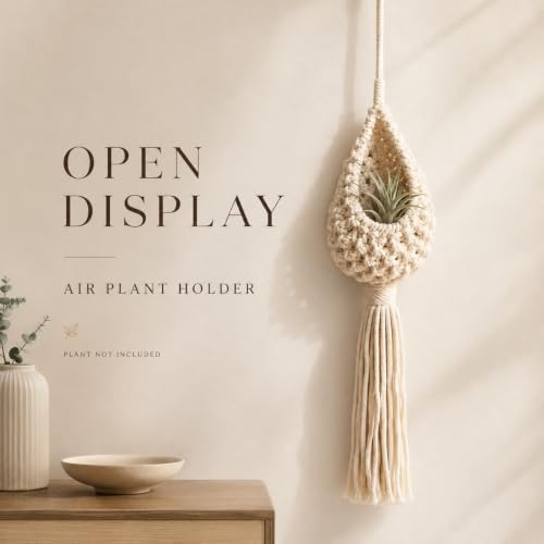Hanging Air Plant Holder, Boho Woven Basket Wall Decor (Small) - Image 2