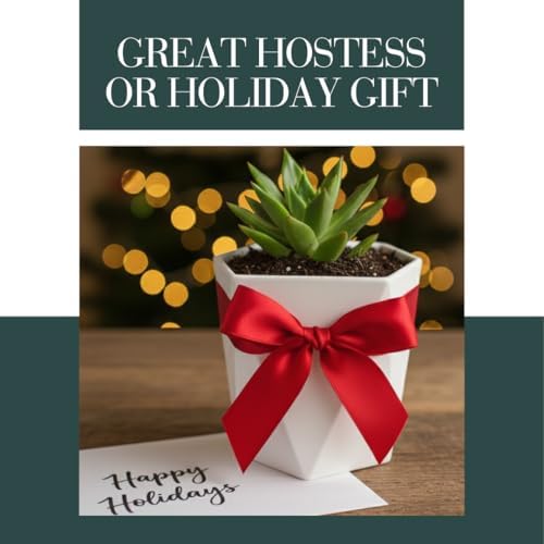 CZ Grain Modern White Geometric Tapered Planter | Minimalist Design for Succulents, Herbs & Small Plants | Hostess, Holiday or Coworker Gift | Indoor Flower Pot | Designer Aesthetic 6.6"x8.3" (3) - Image 6