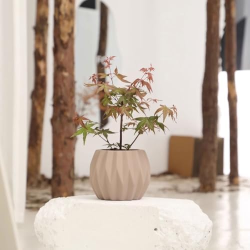 Planter Mocha Colour Terra Cotta Plant Pot Round Geometric Textures Flower with Drainage Holes Planter, for Room Balcony Garden Office (2 Sizes) Garden(Small) - Image 4