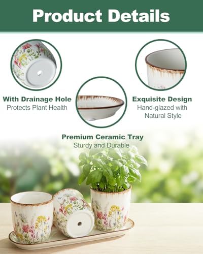 vensovo Ceramic Planter Set with Tray, 3 Small Herb Pots, Meadow Floral - Image 4