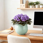 8 Inch Self Watering Planter, Ceramic Plant Pots, Mint Green - Image 7