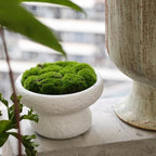 6'' Handmade Cement Bowl–Artificial Moss Centerpiece for Home Decoration - Image 3