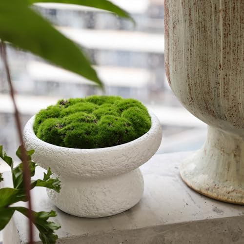 6'' Handmade Cement Bowl–Artificial Moss Centerpiece for Home Decoration - Image 3