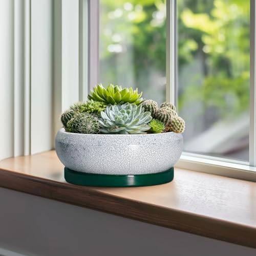 Succulent Planters 10 Inch - Ceramic Bonsai Pots with Drainage Hole and Saucer, Large Succulent Pots Indoor, Shallow Planter, Round Bowl Planter Outdoor, Patio Decor, Plant Lover Gift, Green - Image 3