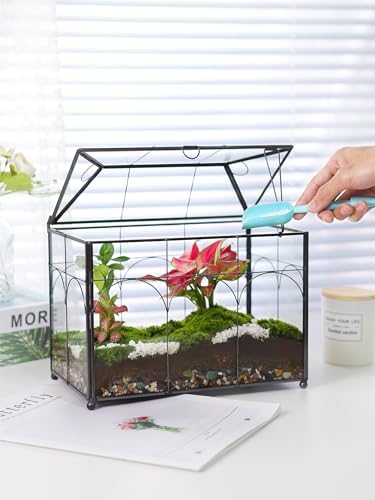 REDHUGO Glass Planter Terrarium with Lid, Indoor Display Box, Black - Image 3