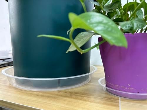 OUPSAUI 4 Pack Clear Plant Saucer 4 6 8 10 12 14 16 18 20 22 Inch Plant Trays for Pots, Plastic Extra Large Planter Saucers for Outdoors Indoors, Drip Catcher Water Tray for Plants (18 Inch) - Image 6
