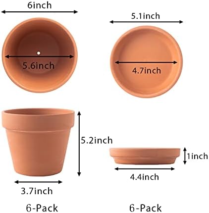 Yishang Large Terra Cotta Pots with Saucer- 6 Pack Large 6'' Terra Cotta Plant Pot with Drainage Hole, Flower Pot with Tray, Terracotta Pot for Indoor Outdoor Plant - Image 2