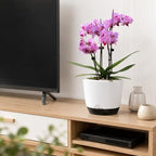 5.7Inch White Orchid Pots with Holes for Repotting, Double-Layer Plastic Self Watering Flower Pots for Indoor Plants with Drainage Holes, Clear Orchid Pot Match Decorative Orchid Container, 5 Packs - Image 6