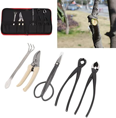 5Pcs Bonsai Tool Set Carbon Steel Bonsai Scissors, Rake, Branch Cutter, Pruning Shears, and Pliers for Bonsai Shaping, Gardening, and Plant Maintenance Kit - Image 4