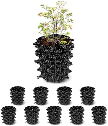 RooTrimmer 1 Gallon Air Pruning Containers, New Plastic Nursery Pots, Fruit Vegetable Garden Self-Planting Pots, Black (1G-10P) by RooTrimmer