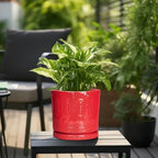 Eightpot 10 Inch Plant Pot, Ceramic Pots for Plants for Indoor Outdoor Plants, Round Planter with Drainage Hole and Tray, Boho Decorative Flower Pots, Front Porch Decor, Gifts for Plant Lovers, Red - Image 5