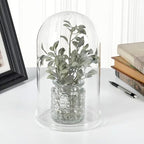 Plymor 5.5" x 10" Glass Display Dome Cloche (Clear Glass Tray Base) - Image 2