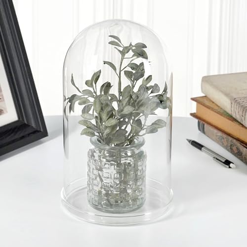 Plymor 5.5" x 10" Glass Display Dome Cloche (Clear Glass Tray Base) - Image 2