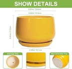 G EPGardening Ceramic Plant Pot - 6 Inch Ceramic Planter with Drainage Hole and Tray, Modern Round Planter, Flower Pot for Indoor Outdoor Plants, Plants Lovers Gifts, House Garden Decor, Yellow - Image 3