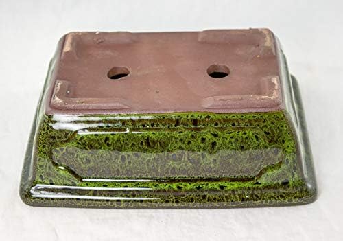 8" Rectangular Moss Green Bonsai Pot, Cactus & Succulent Planter + Tray + Rock + Mesh Combo (A768-8MG Combo) - Image 6
