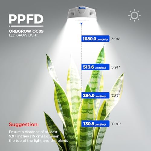 Barrina OG09 Puck Grow Light, 36W(4 x 9W), 5000K, Timer, 4 Packs, White - Image 6
