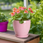 6 Inch Ceraimc Plant Pots, Ceraimc Planters for Indoor Plant, Pink - Image 3
