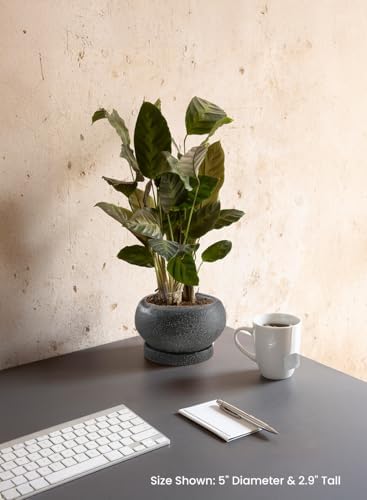 Serene Spaces Living Kuro Ceramic Low Planter with Saucer – Modern Textured Pot for Succulents, Cactus & Indoor Décor, Mini Black Planter, 5" Diameter & 2.9" Tall, Pack of 4 - Image 3