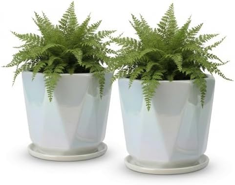 Coco Andrea Ceramic Pots for Plants, 5-Inch Iridescent White, 2-Piece Large by Unknown