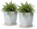 Coco Andrea Ceramic Pots for Plants, 5-Inch Iridescent White, 2-Piece Large by Unknown