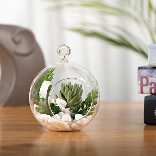 WGV Hanging Terrarium Globe, Width 4", Height 4.75", DIY Air Succulent Planter, Clear Glass Vase Orb with Flat Bottom, Candle Holder for Windowsill Outdoor Garden Decor, 12 Pieces Bulk - Image 5