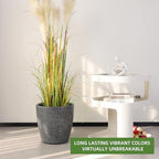 Dexceder 13x12 Self Watering Planter with Wheels (Stone Matte) - Image 6
