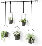 Umbra Triflora Hanging Planter, Window Herb Garden, Set of 5, Black/Black by Umbra