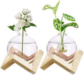 M METERXITY 2 Pack Glass Planter Terrarium with Wooden Stand, Desktop Plant Propagation Station Bulb Vase for Hydroponic Plants Propagation/Home Garden Decor/Plant Lover [Pink] by MMETERXITY