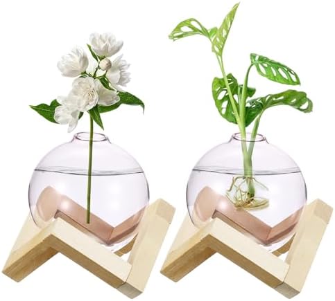 M METERXITY 2 Pack Glass Planter Terrarium with Wooden Stand, Desktop Plant Propagation Station Bulb Vase for Hydroponic Plants Propagation/Home Garden Decor/Plant Lover [Pink] by MMETERXITY