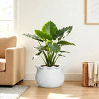 Ceramic Indoor Flower Pot, 12 Inch Ceramic Planter, White - Image 6